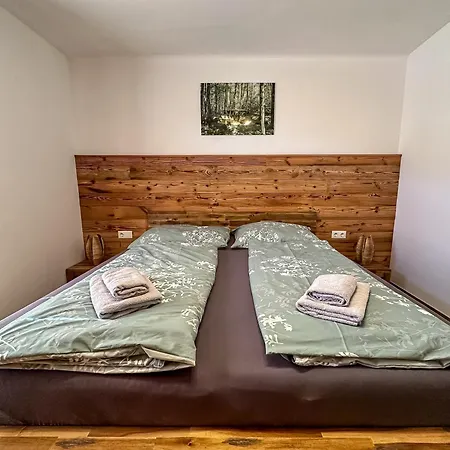 Apartment Our's Living - With Sauna & Summercard Near Kitzbueheler Alpen Lift Hollersbach im Pinzgau