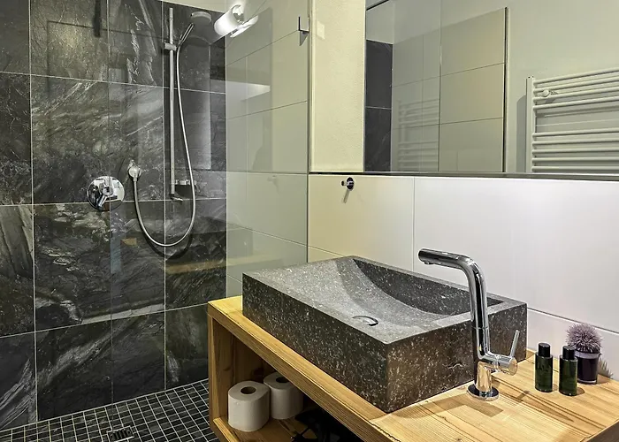 アパート Our's Living - Modern With Sauna Near Kitzbueheler Alpen Lift ホラースバッハ・イム・ピンツガウ