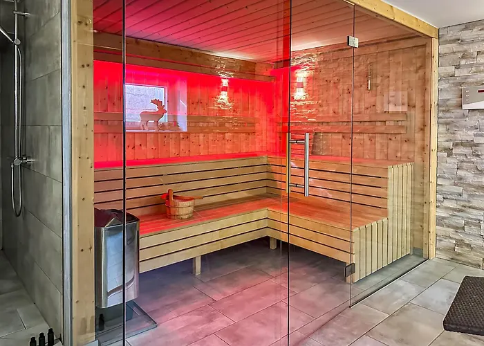 Our's Living - Modern With Sauna Near Kitzbueheler Alpen Lift * ホラースバッハ・イム・ピンツガウ